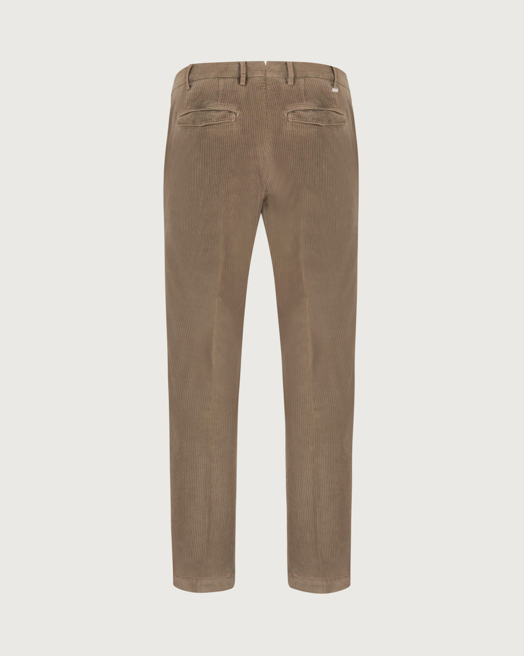 PT TORINO Pantalone Chino pigmento  CO-ATMAZ00CL1 TU93 N055 