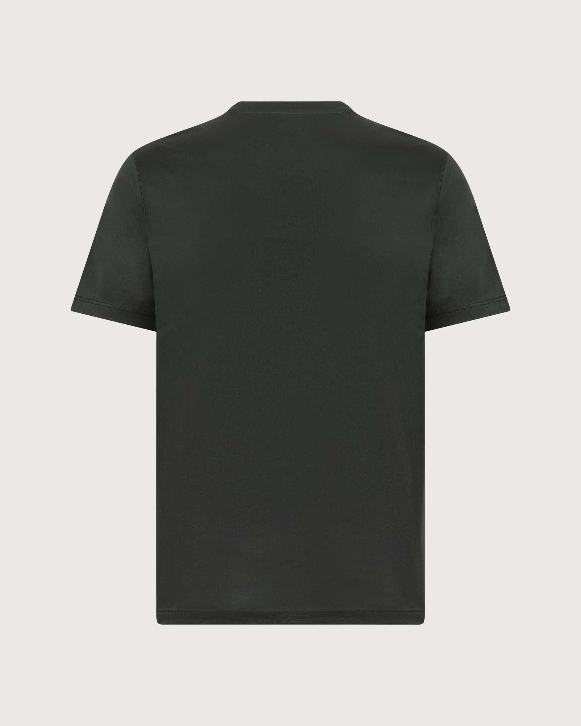 GRAN SASSO T-shirt Verde  60133/74002 484 