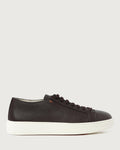 SANTONI Scarpe Dark brown  MBCD21571BARCMMD T51 
